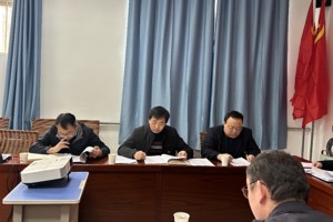 2026年国际足联世界杯2024年度党组织生活会